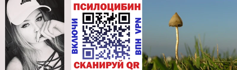 Купить закладки  Михайлов  Псилоцибиновые грибы Psilocybine cubensis 
